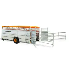 BETIMAX RDS 